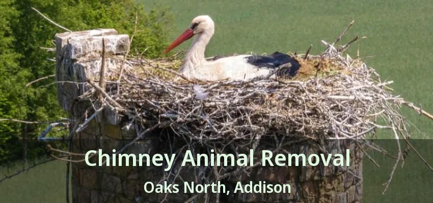 Chimney Animal Removal Oaks North, Addison - TX