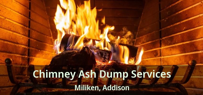 Chimney Ash Dump Services Miliken, Addison - TX