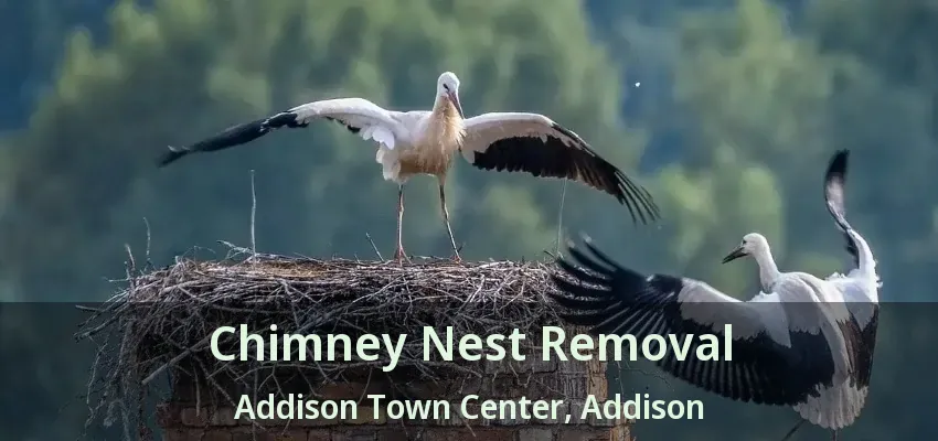 Chimney Nest Removal Addison Town Center, Addison - TX