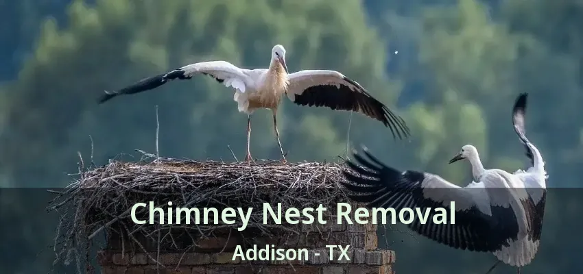 Chimney Nest Removal Addison - TX