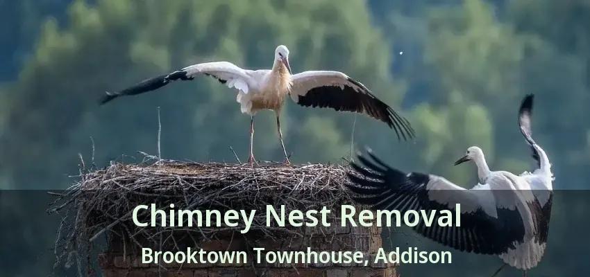 Chimney Nest Removal Brooktown Townhouse, Addison - TX