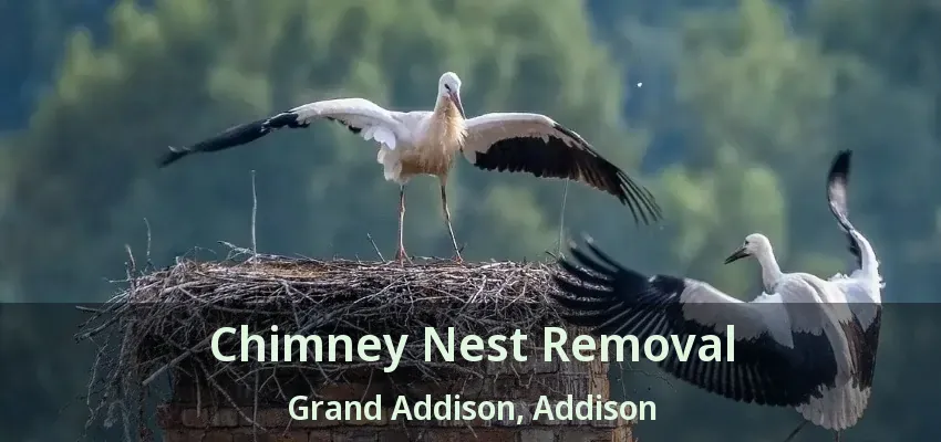 Chimney Nest Removal Grand Addison, Addison - TX