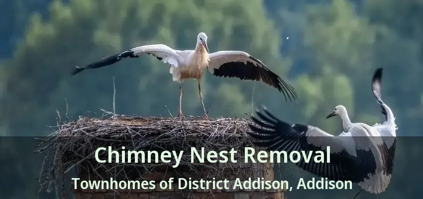 Chimney Nest Removal Townhomes of District Addison, Addison - TX