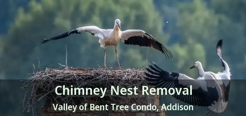 Chimney Nest Removal Valley of Bent Tree Condo, Addison - TX