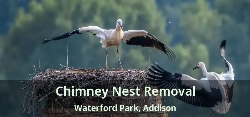 Chimney Nest Removal Waterford Park, Addison - TX
