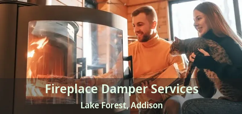 Fireplace Damper Services Lake Forest, Addison - TX