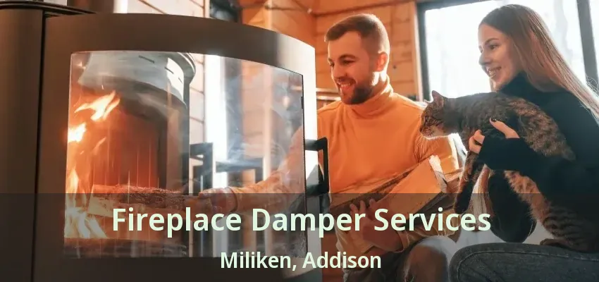 Fireplace Damper Services Miliken, Addison - TX