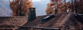 Chimney Animal Removal Addison