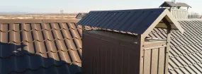 Chimney Cap Services Addison