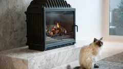 Wood Burning Fireplace Repair Addison